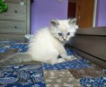 /album/foto3/%c2%a8justina-jpg/